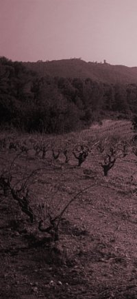 Y nadie llorar&aacute; al artista